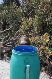 Mitte 1 Versteckspiel